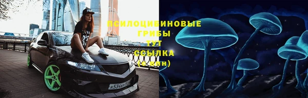 стафф Вуктыл
